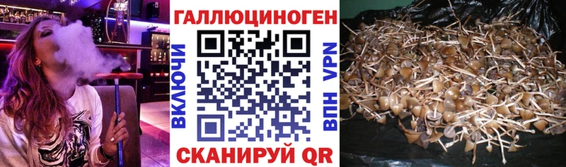 кракен ONION  Сим  Галлюциногенные грибы мицелий 